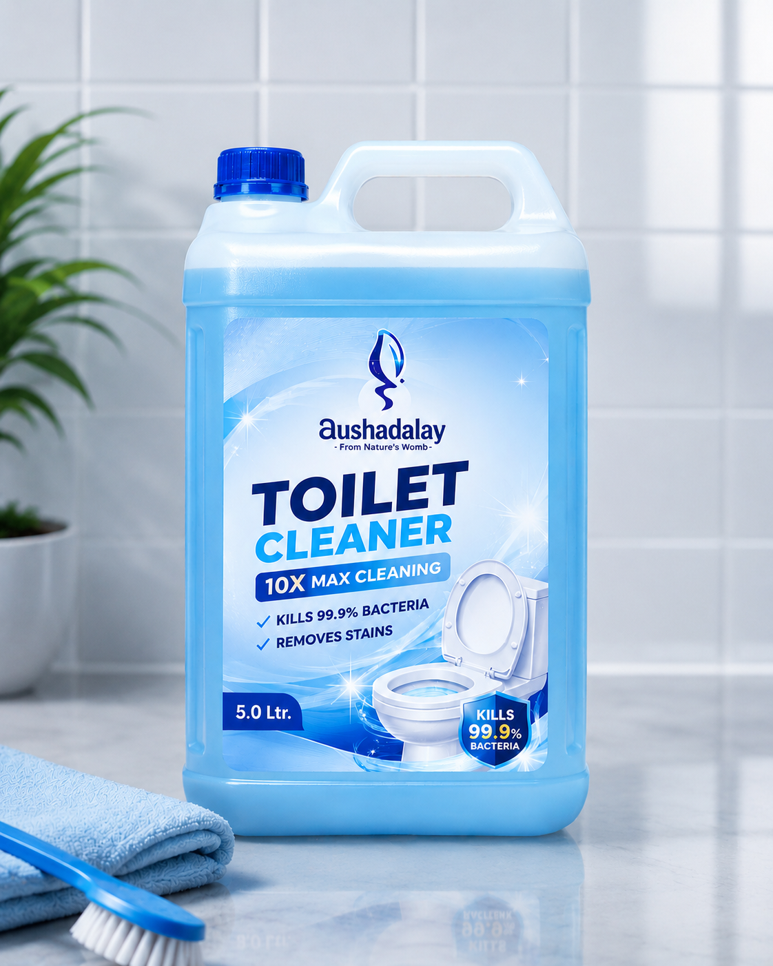 Toilet Cleaner