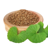 Ajwain